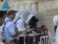 videos de Infolive.tv Headlines - Ultra-Orthodox plan kosher bus line
