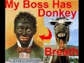 My Boss Has Donkey Breath - How To Make a Software Box My Boss Has Donkey Breath - How To Make a Software Box