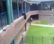 3jump
