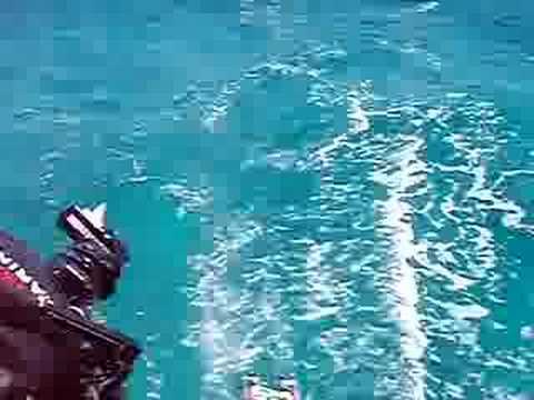 Bahams Sailing - Rudder