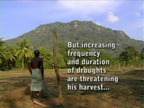 Climate Change & Paddy Cultivation