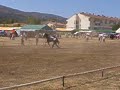 Feria del Caballo de Piedrahita 2006