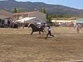 Feria del Caballo de Piedrahita 2006