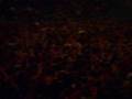 videos de 21st Nov. 2008 Waiting for Die Toten Hosen in Mannheim SAP-Arena 3/14