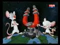 Les Animaniacs Les Animaniacs