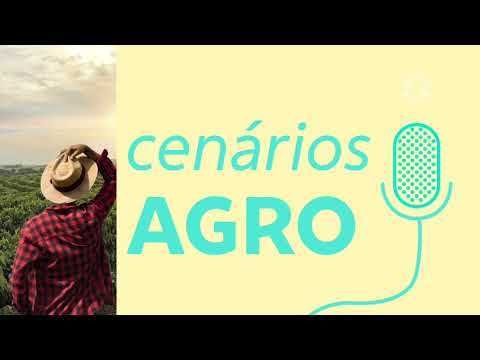 Cenários Agro: soja estável, milho pressionado, café em foco e boi sustentado | BBCast Agro 08/06/26