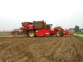 aardappeloogst met dewulf R3000