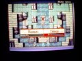 Knoll Bug Video Knoll Bug Video