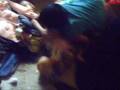 videos de Filme Cão zumbi.wmv