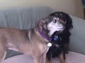 Jun 22 2008 - VID00181