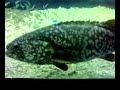 ocean park laot 360degrees screen
