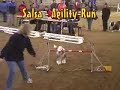 Agility: Salsa & Jula & Vanilla / 3rd Feb. 2008