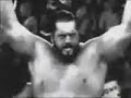 nWo Poison Titantron