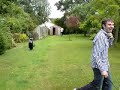 golf in the back garden