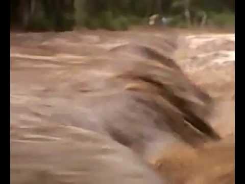 Dandeli River Water