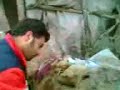 noor mugh farosh