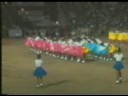 programacion 2008-81