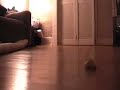Here is another film I found on my hard drive while cleaning it up.  This one was done on 08/02/2004 at 2:34 AM. Just alittle micro RC car fun.