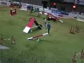 Agility Italia Team Large: Cerna con Jack