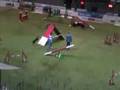 Agility Italia Team Large: Cerna con Jack