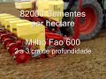 Sementeira 2008