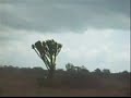 Tornado in Ishango, DR Congo