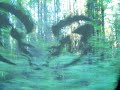 how to drive a DODGE truck thru the bush!