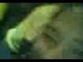 videos de RENE E BIA