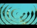 Scuba Diving Adventure HD
