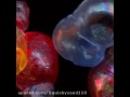 Video for بادکنک جادويي magic bubble magic juice bubble