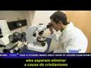 Imagem de Amostra do You Tube