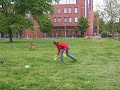daeron training mixed