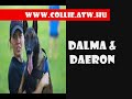 daeron training mixed