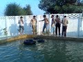 DI KHAN POOL