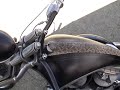 Snake Bike