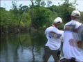 Amazon Peacock Bass Part 4 of 4