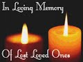 RIP Daisy & all other lost ones!