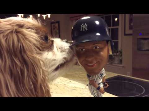 Video: Dog investigates Derek Jeter