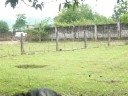 pinoy paintball baguio