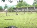 pinoy paintball baguio
