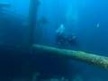 This is Diving