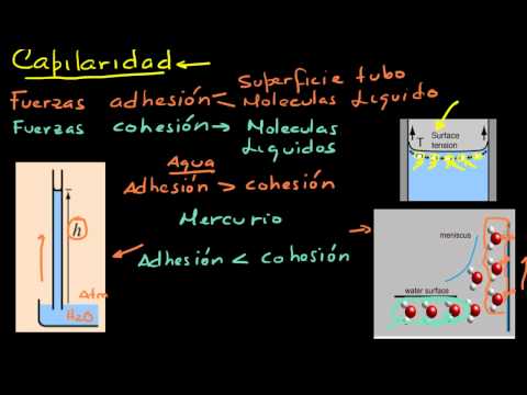 capilaridad. - Como ocuure el fenomeno de capilaridad. Ejemplos.