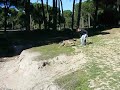 Bokken salto Bokken salto