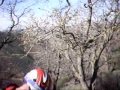 Carnegie Trail Run 3 part 2