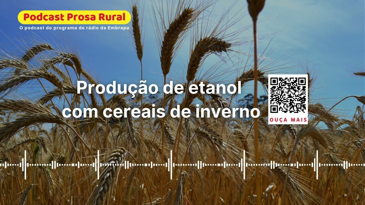 Produção de etanol com cereais de inverno