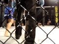 Vyper Fight League 042409