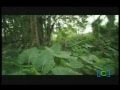 Ejercito de Colombia Publicidad