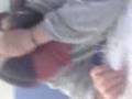 videos de tapa na fer ¬¬