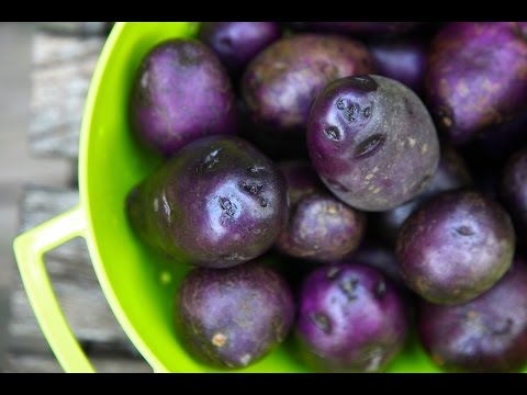 how to tell if a purple potato is bad