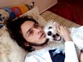 Toninho - o cachorro falante
